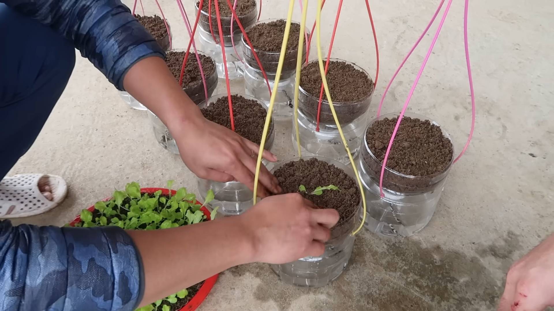 Wassersparender Hängegarten für Salat
