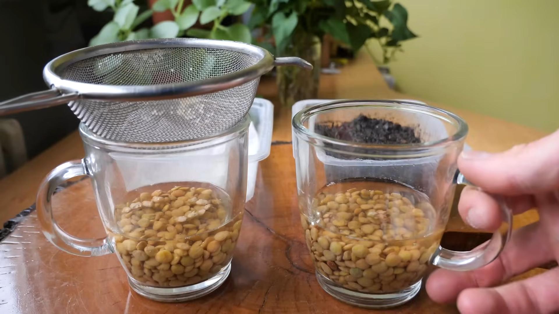 Microgreens Anbau Küche