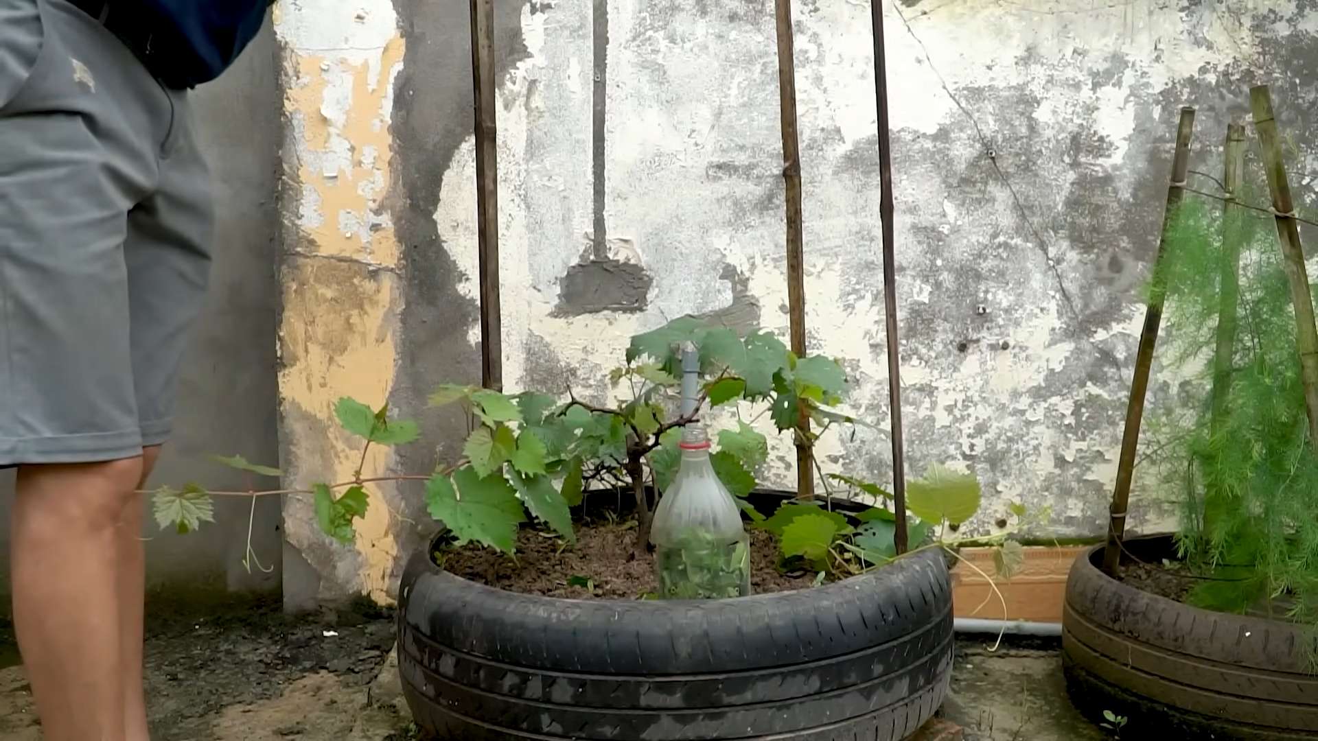 Reifen für Weinanbau nutzen