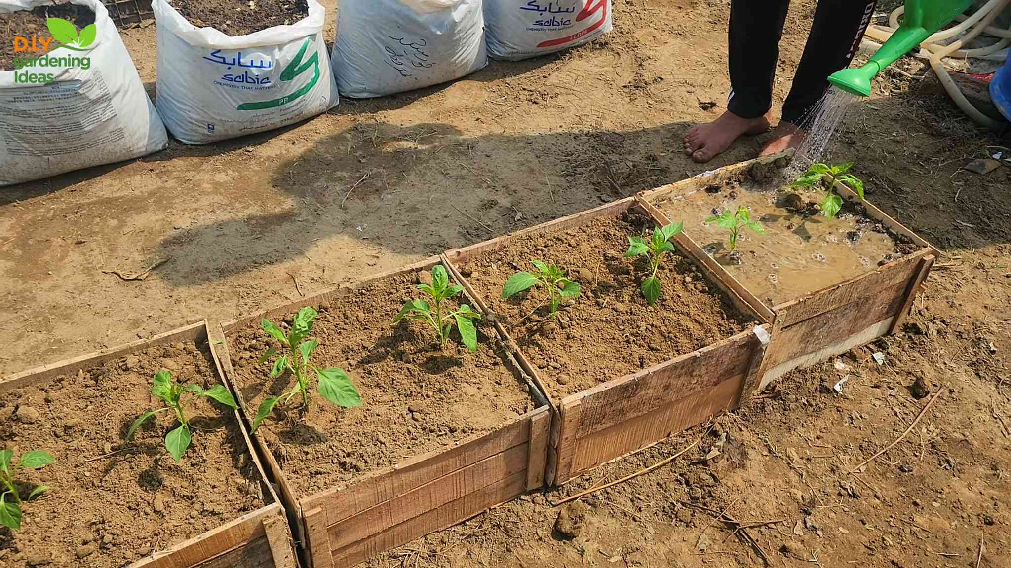 Paprika Topf selber machen